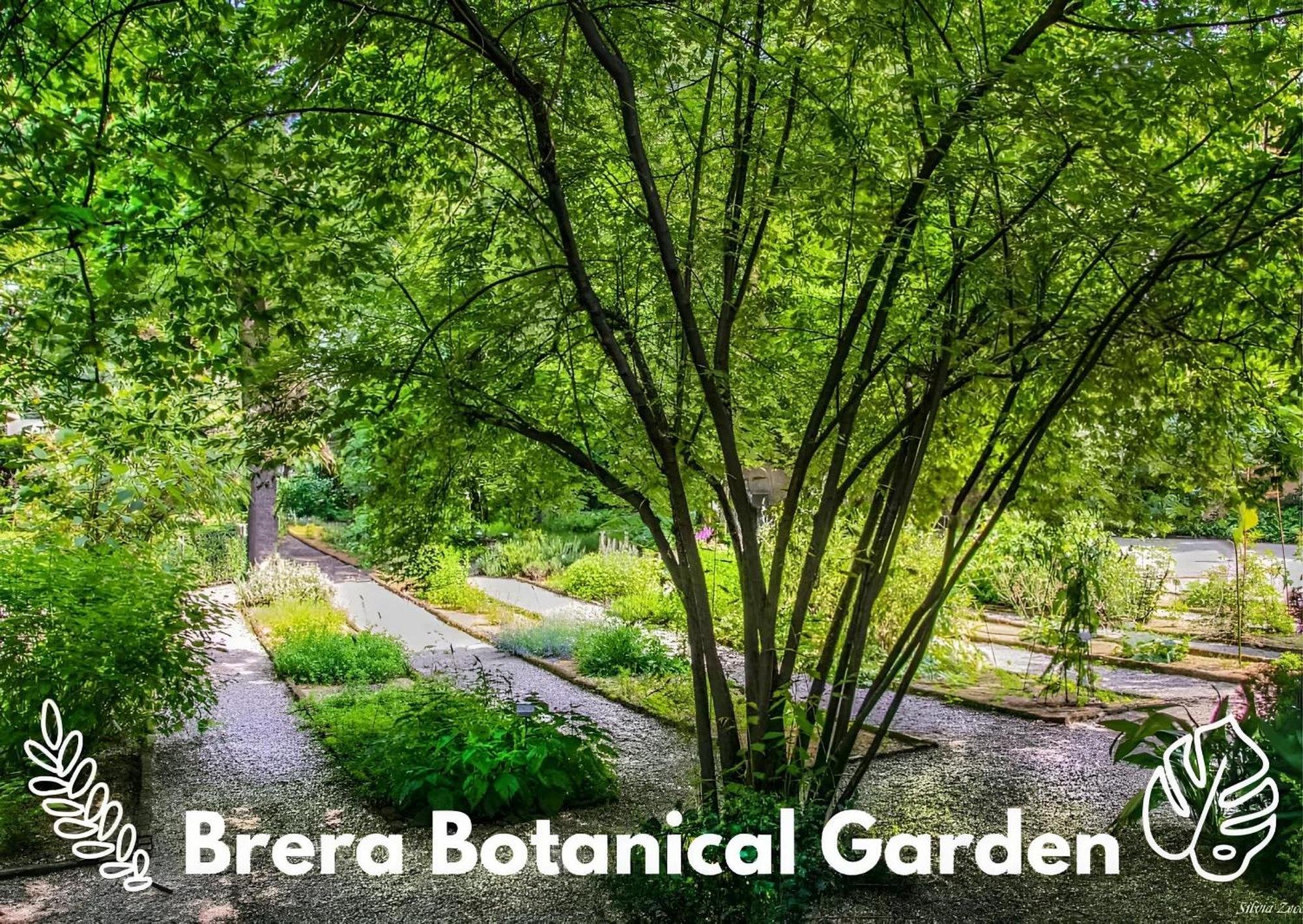 Brera Vip Spotlight - Brera - Duomo - Castello Sforzesco - Lanza Metro M2 Apartman Milánó Kültér fotó